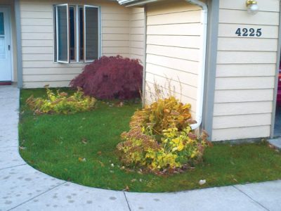 Garden Headaches Image